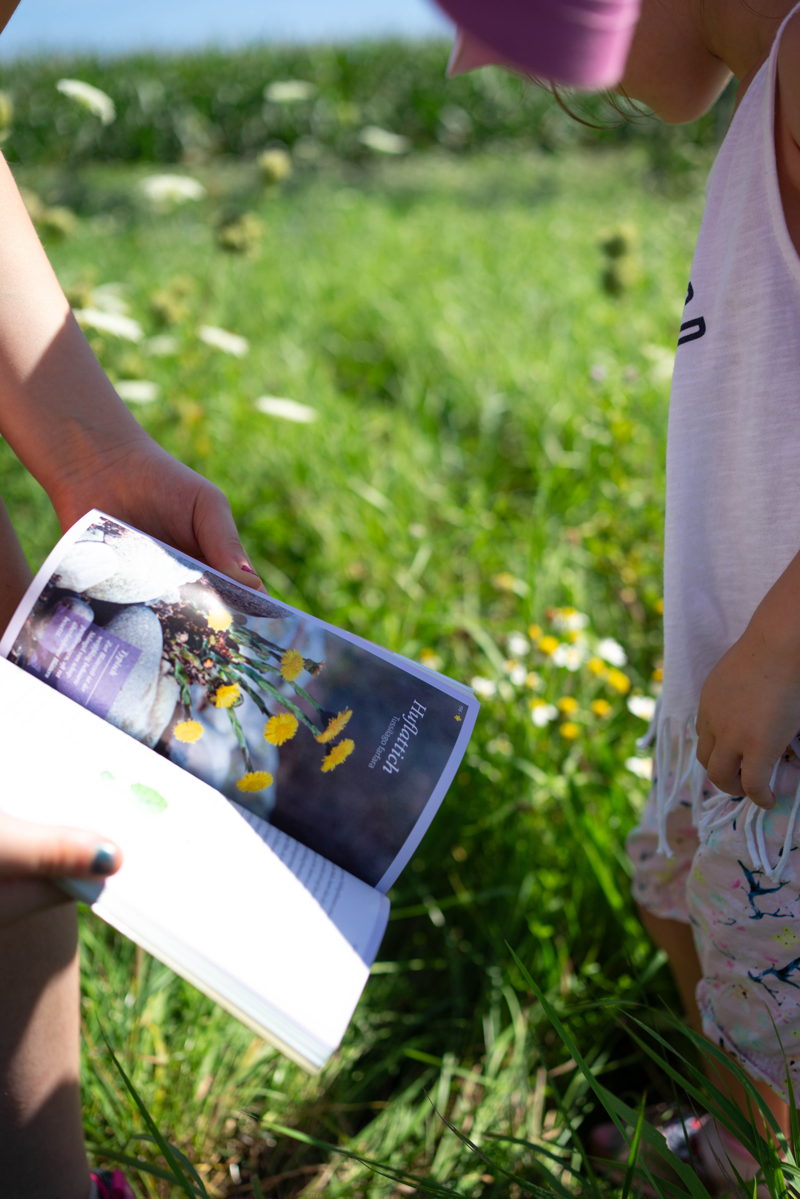 Ein Heft auf der Wiese